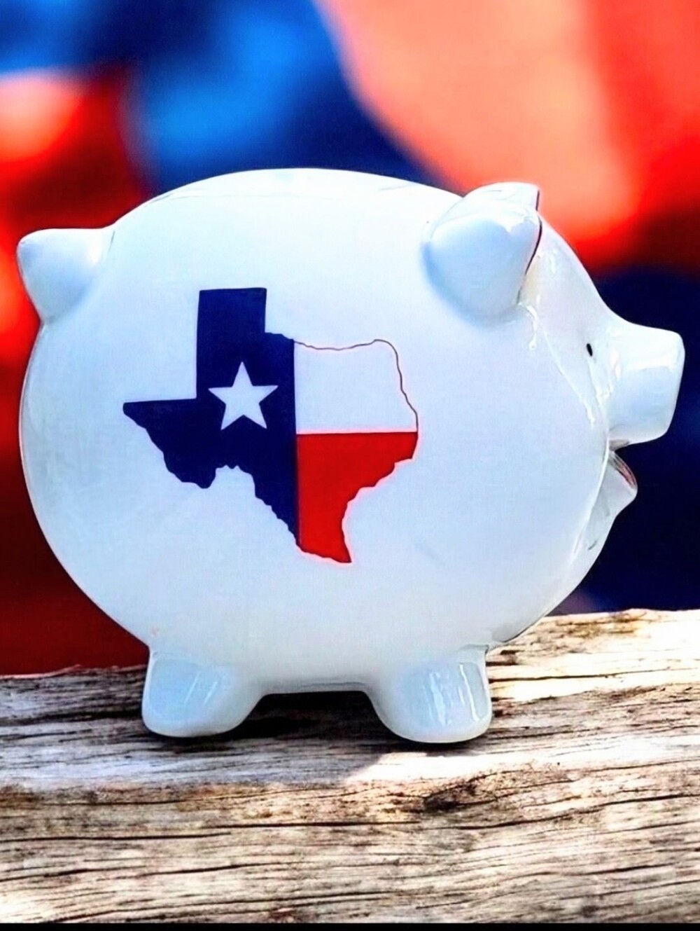 Texas Lone Star State Ceramic L'il Pig Piggy Bank